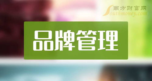 2024年9月2日品牌管理概念上市公司名單大盤點